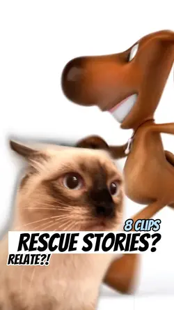 Rescue story?!