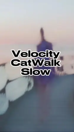 Velocity Catwalk 