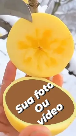 foto na fruta 