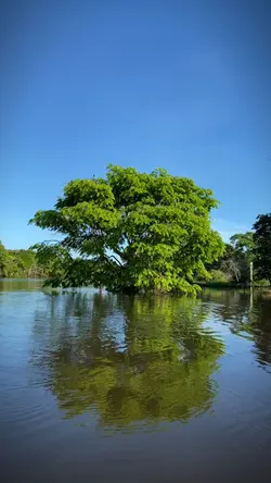 Natureza