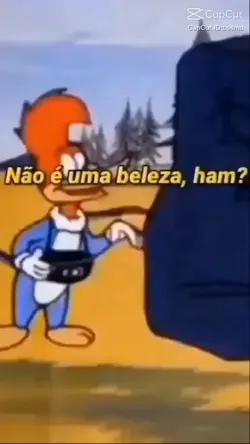 foto sua