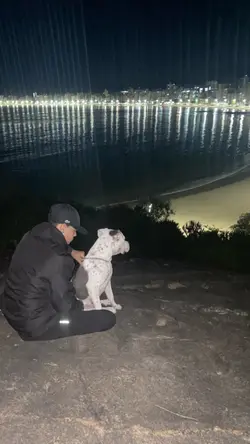 Fumaça no estúdio 