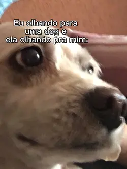 TadinhaKKKKKKK
