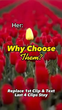 Why Choose Them?
