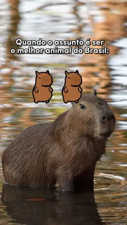 CAPIVARA TREND