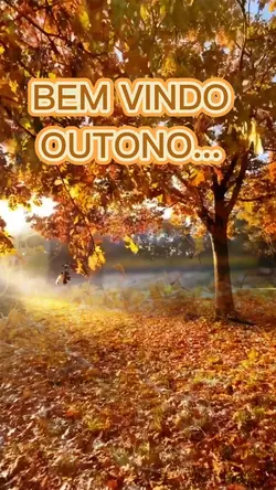 BEM VINDO OUTONO