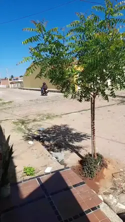 dia 1 de outubro 