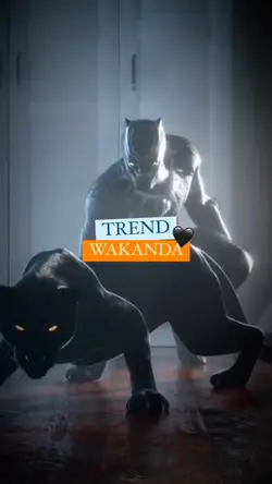 TREND WAKANDA