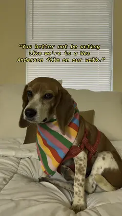 A Wes Anderson Film