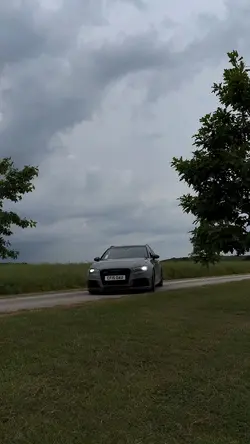 RS🌲