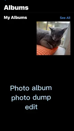 photo album edit!