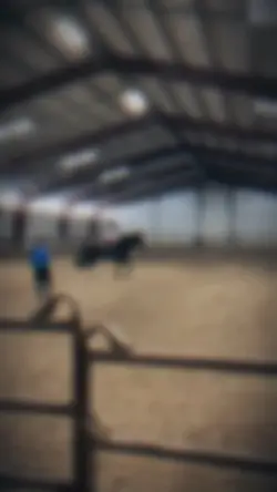 Dressage ✨