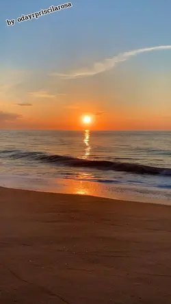 bom dia 