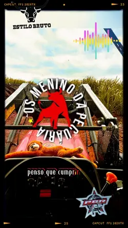 aoo modão bão