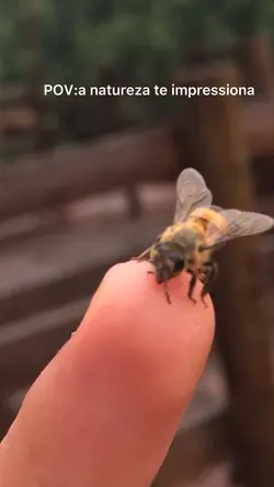 Natureza é incrível