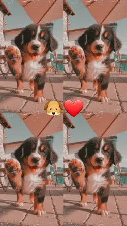 ADICIONA SUA FOTO 