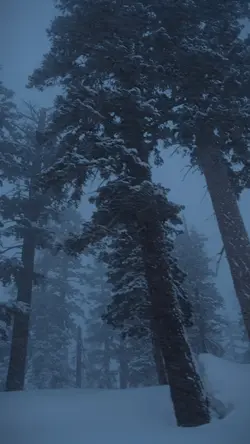 Snow Dream