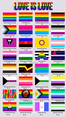 Pick Your Flag 🏳️🌈