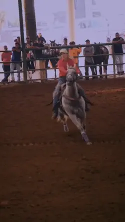 velocity