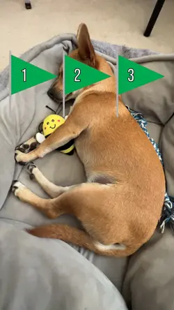 Green Flags
