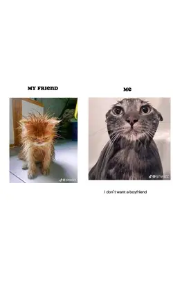 I got you a BF :D