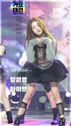 fan-cam