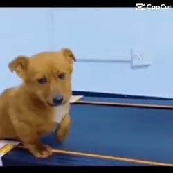 There’s nothing at I