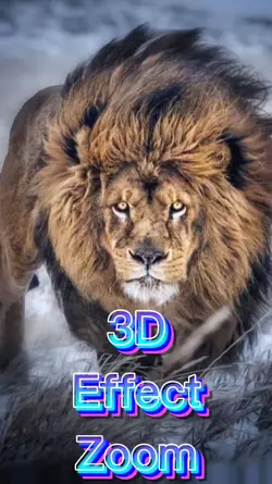 3D Zoom Effect