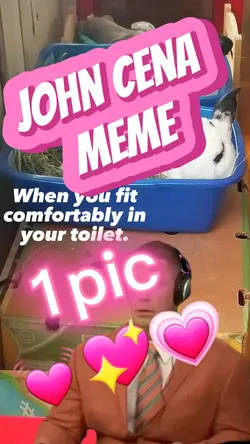 John Cena