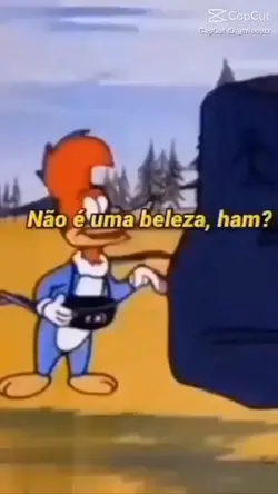 NÃO É UMA BELEZA HAM