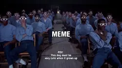 cinema meme