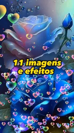 11 imagem