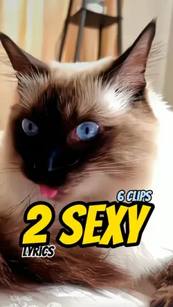 2 sexy! MV 