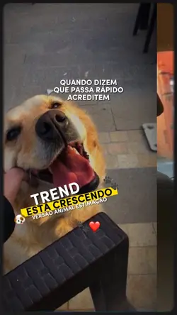 Cresceu tão rápido 🐾