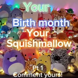 Squishmallows!