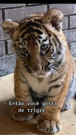 Eu gosto do trigre 