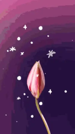 Pink Flower 🌸 