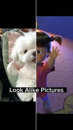 Look Alike Trend 