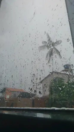 Minha preta mulata 