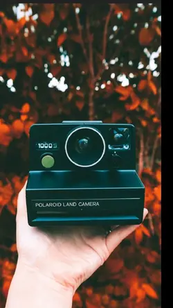 Photograpt