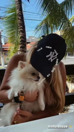 meu pet, meu amor!