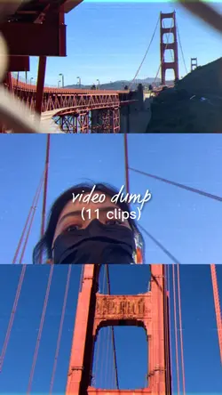 video dump