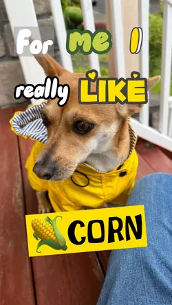 I really like 🌽