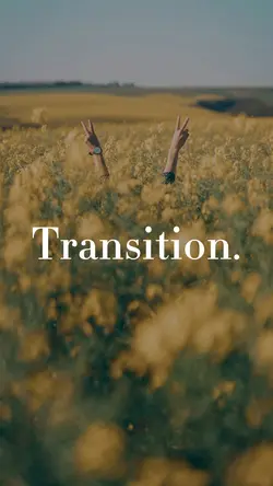 STORY TRANSITION
