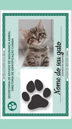 RG do seu gato