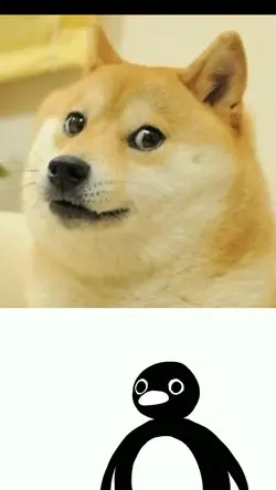 noop noop