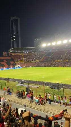 Sport 🦁