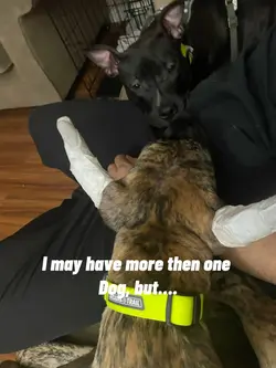 It’s just us 