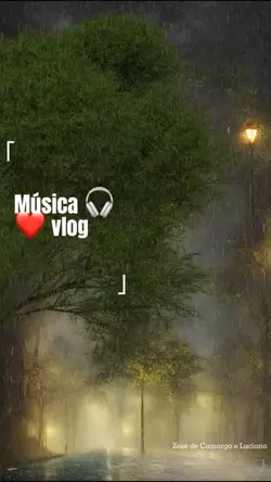 Música 🎧 
