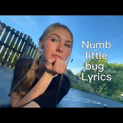 Numb little bug